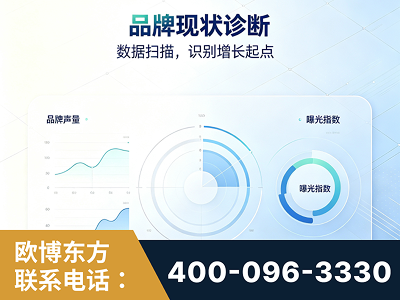 西双版纳傣族-品牌现状诊断